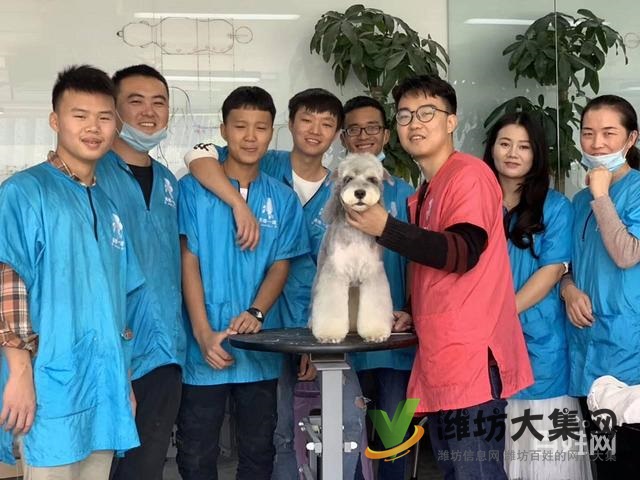 濰坊寵物美容師培訓(xùn),寵物美容培訓(xùn)哪里好教得好?