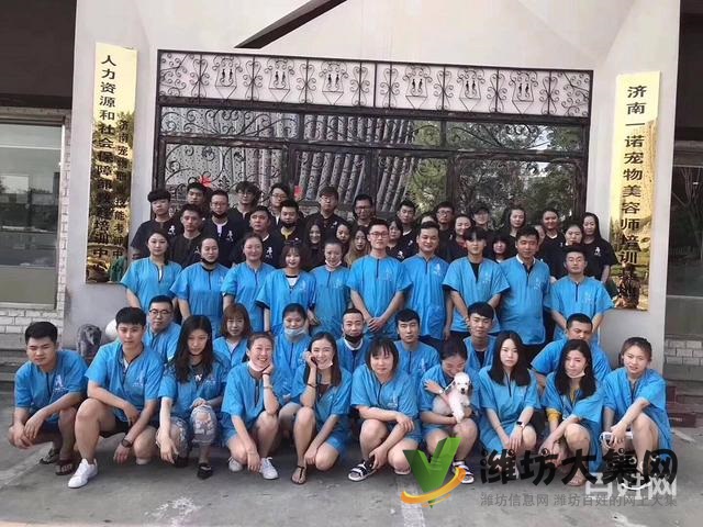濰坊寵物美容培訓中心好不好|一諾寵物培訓學校