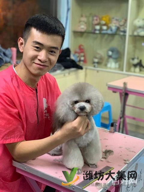 濰坊寵物美容護理學(xué)校? 一諾寵物美容師培訓(xùn)