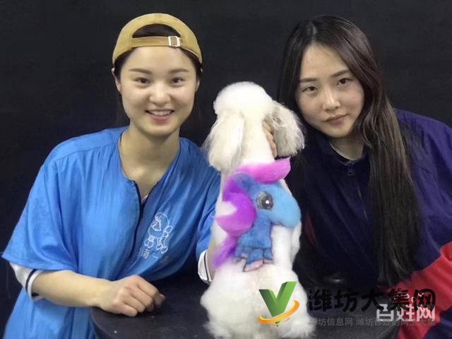 桂林專業(yè)寵物美容培訓(xùn)?寵物美容學(xué)校多少錢學(xué)費(fèi)?