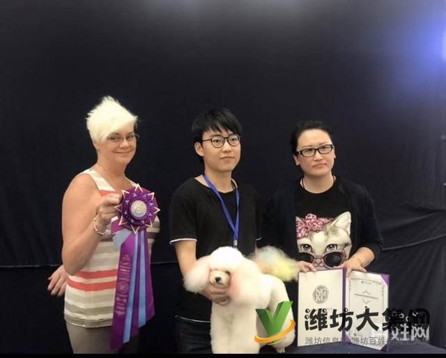 濰坊寵物美容培訓,有哪些寵物美容學校哪里好?