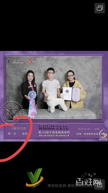 濰坊寵物美容培訓,有哪些寵物美容學校哪里好?