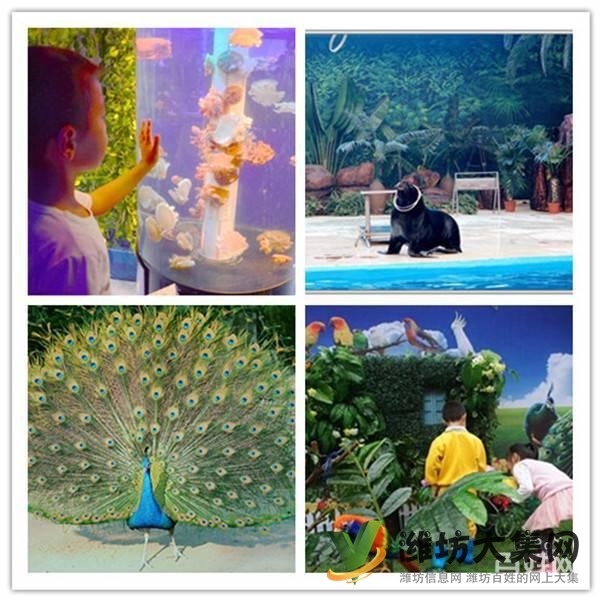 濰坊市哪里有馬戲團(tuán)表演出租 環(huán)球飛車(chē)租賃