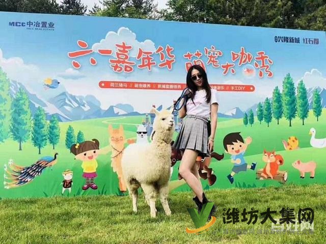 濰坊動物租賃展覽 節假日更優惠