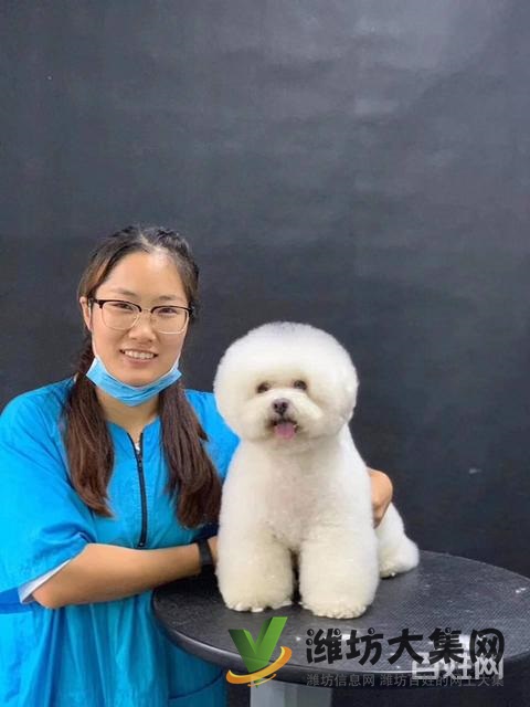 濰坊寵物美容護理學(xué)校? 一諾寵物美容師培訓(xùn)