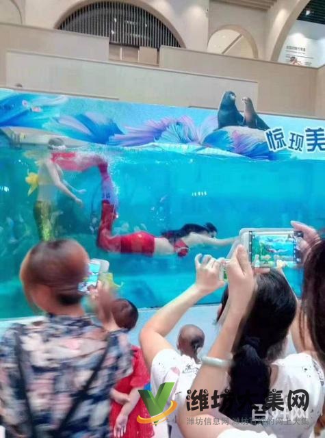 濰坊海洋生物租賃、萌寵動物租賃,百鳥展出租