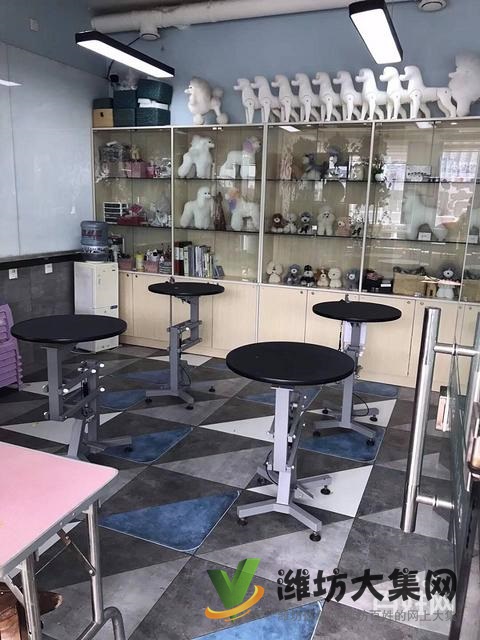 濰坊寵物美容培訓中心教得好?學寵物美容容易嗎