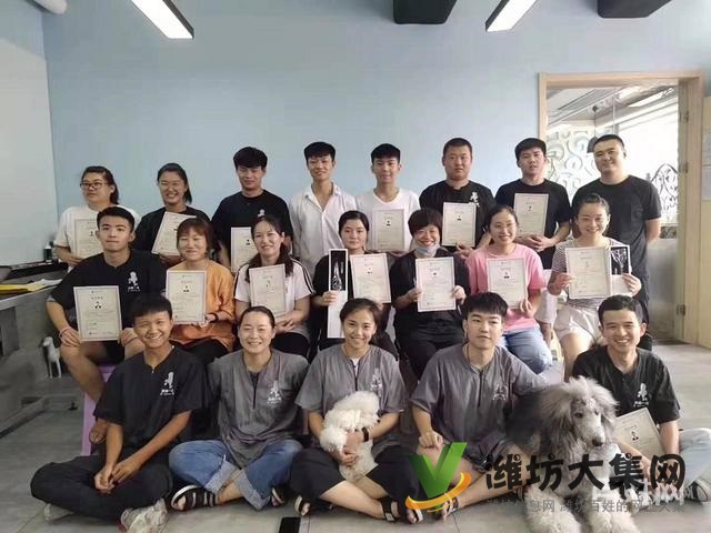 濰坊寵物美容培訓中心好不好|一諾寵物培訓學校