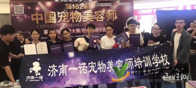 濰坊寵物美容培訓去哪好?去哪學寵物美容