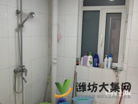 玫瑰園緊鄰東郡小 學新華中 學 一中無稅精裝全明戶型帶儲藏室