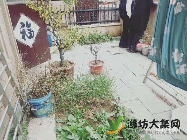 城市中央 大華中央城一樓帶院 帶倉庫車庫 價格好商量