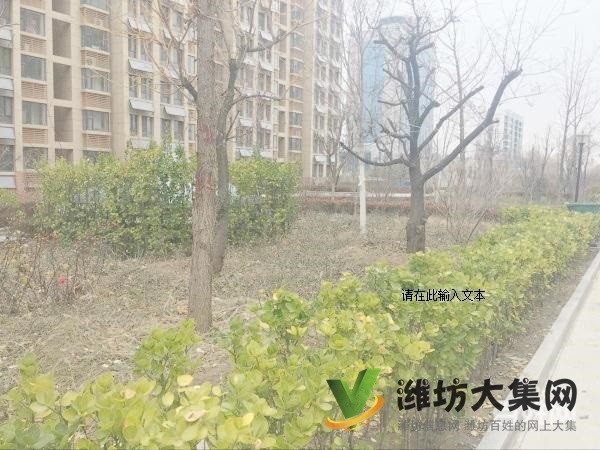 華都頤年園一樓帶院三室兩廳精裝修家具家電齊全雙氣供暖1400