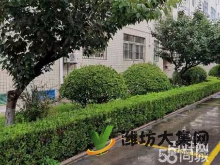 華都金馬小區(qū)精裝修帶地下室車(chē)位三臥朝陽(yáng)拎包入住火急