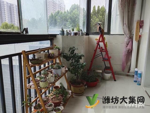 市北區(qū)中央世家3樓118平 三室兩廳 精裝 送30