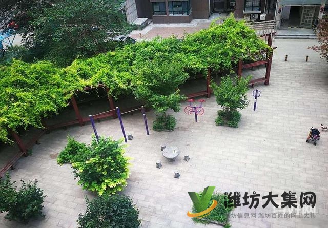 171 平 單價5900客廳朝陽 泰華市中心白浪河