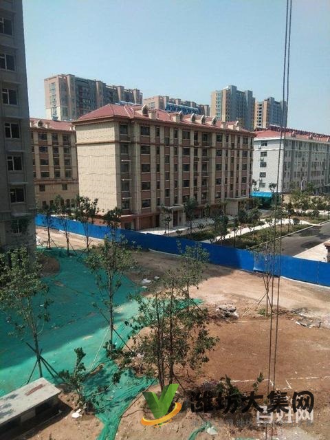 江山一品**房,回籠資金,低 價(jià)出售