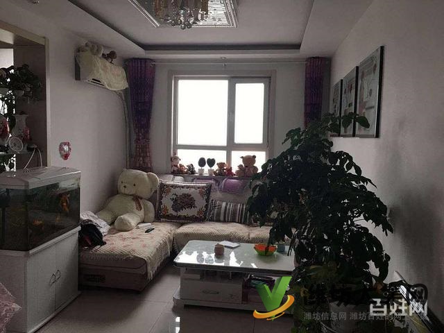 實驗* **,帶全部家具家電帶倉庫,圖片真實