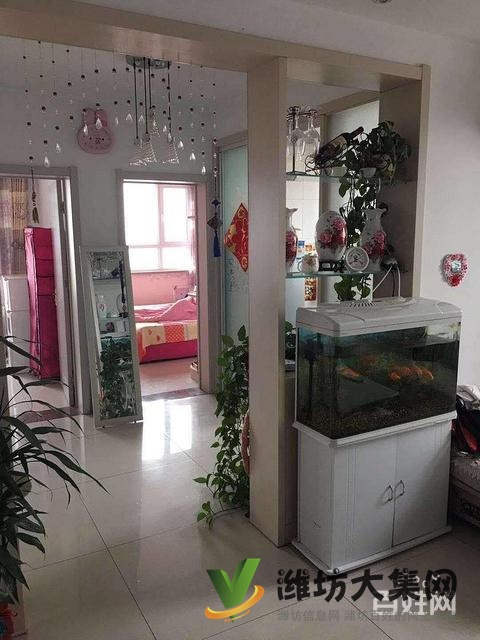 實驗* **,帶全部家具家電帶倉庫,圖片真實