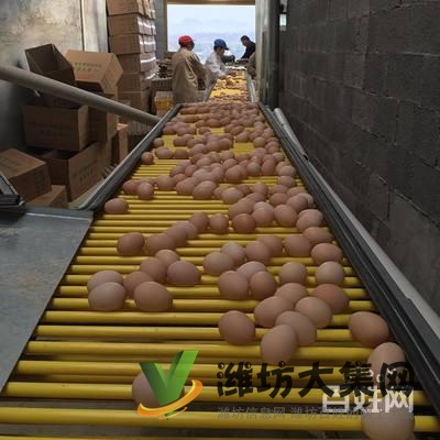 {快租免費尋址}壽光稻田鎮(zhèn)東龐陳村養(yǎng)殖場出租