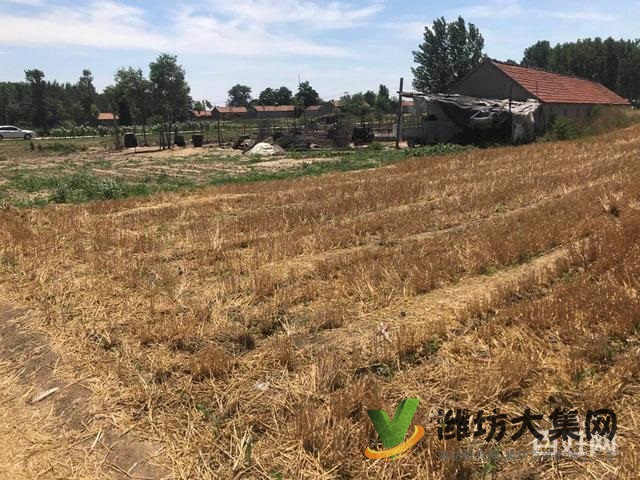 {快租免費尋址}昌邑角埠村好地段土地出租