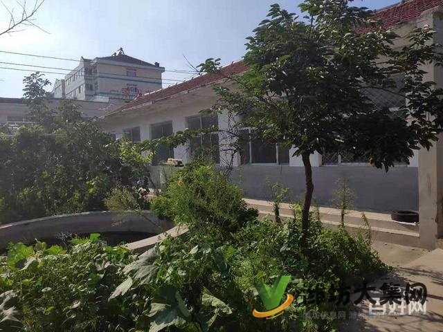 (快租免費尋址)濰城區寶通街濰蔣路官家莊村廠房出租