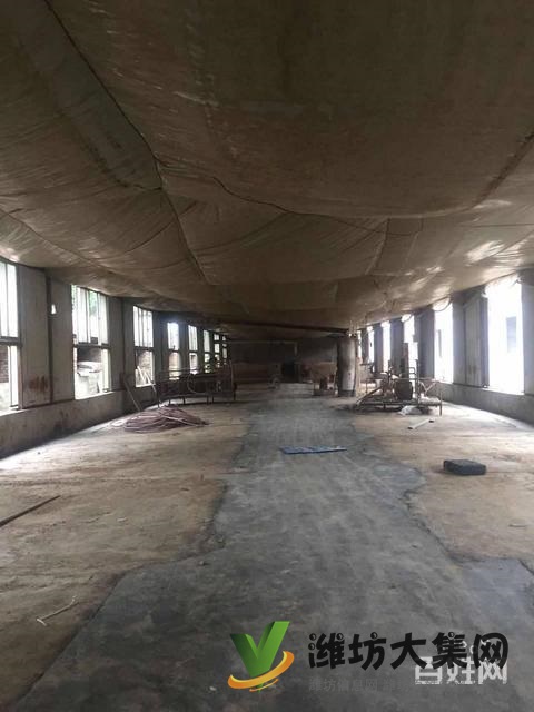 (快租免費尋址)濰城區(qū)寶通西街夏家村廠房出租