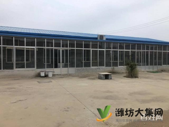 (快租免費尋址)青州與昌樂交界處花都大道廠房出租