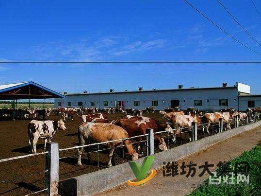 {快租免費尋址}壽光稻田鎮(zhèn)東龐陳村養(yǎng)殖場出租