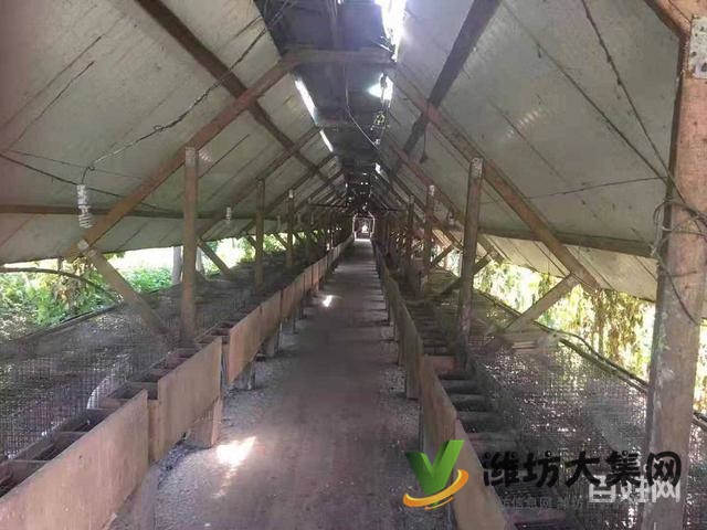 (快租免費尋址)濰城區西外環濰膠路養殖場出租