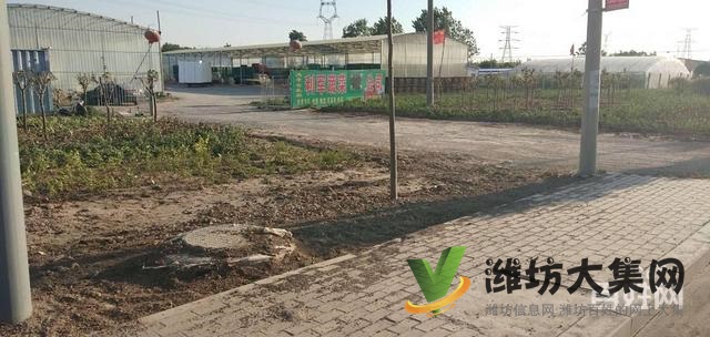 {快租免費(fèi)尋址}壽光壽堯路與308國(guó)道旁廠房出租