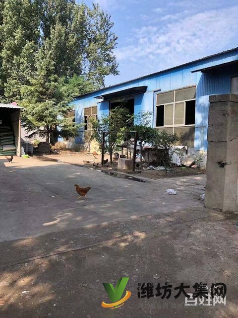 (快租免費尋址)濰城區(qū)望留鎮(zhèn)市場村廠房出租