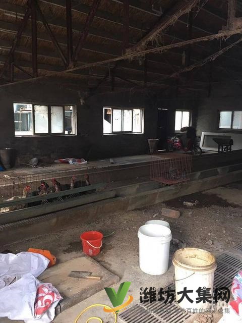 (快租免費(fèi)尋址)坊子老區(qū)西劉家埠村廠房出租