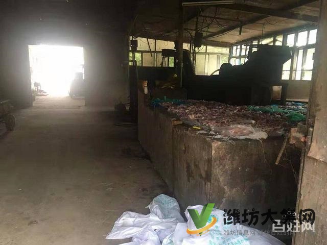 (快租免費尋址)濰城區西外環濰膠路養殖場出租