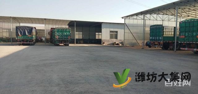 {快租免費(fèi)尋址}壽光壽堯路與308國(guó)道旁廠房出租