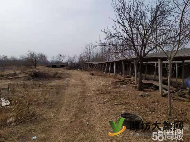 {快租免費(fèi)尋址}濰城軍埠口大寨村好地段倉(cāng)庫(kù)出租