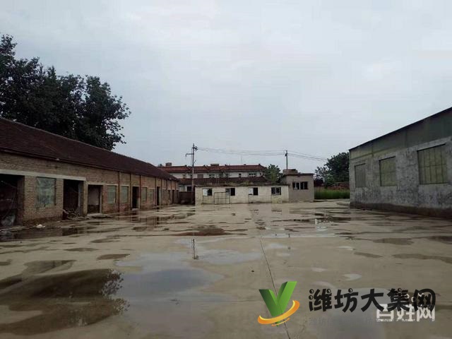 (快租免費尋址)望留緊靠公路廠房出售