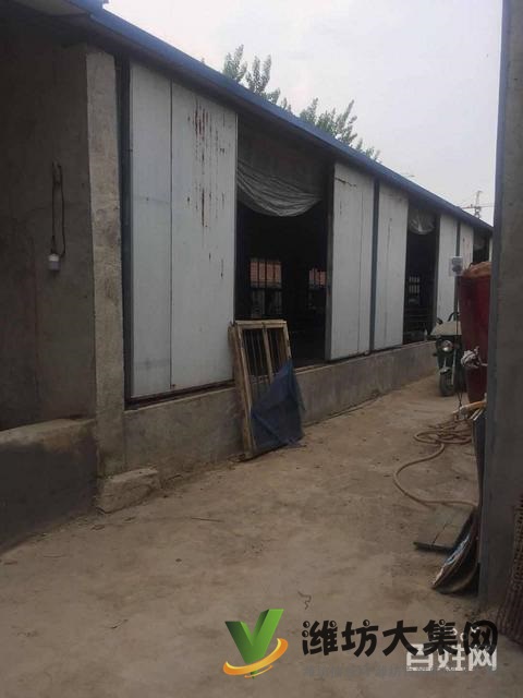 (快租免費尋址)濰城區(qū)寶通西街夏家村廠房出租