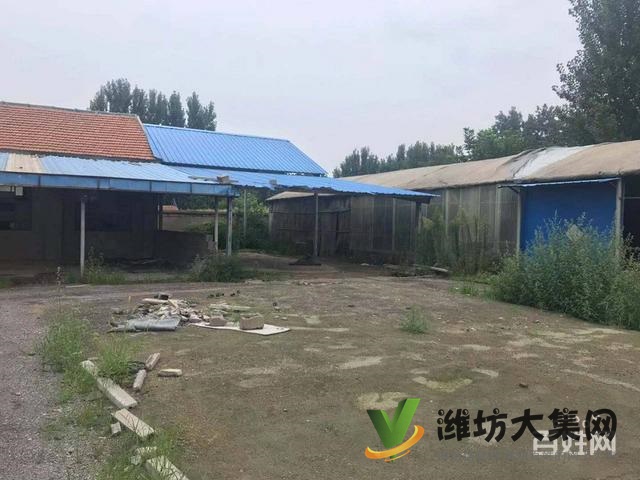 (快租免費尋址)諸城石橋子鎮大店子村廠房出租