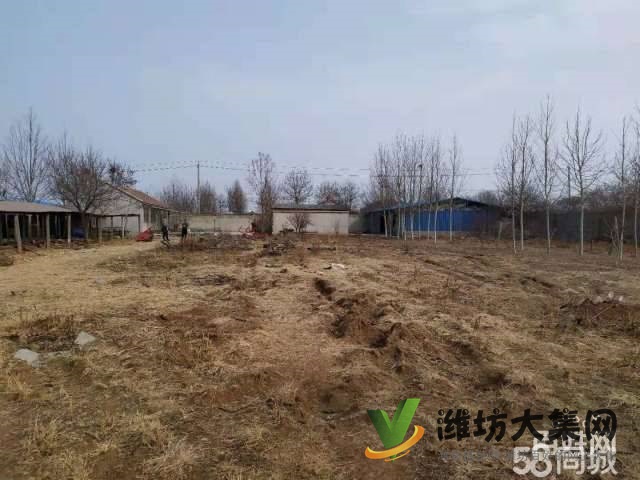 {快租免費(fèi)尋址}濰城軍埠口大寨村好地段倉(cāng)庫(kù)出租