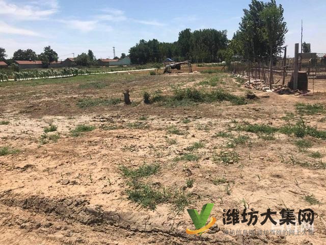 {快租免費尋址}昌邑角埠村好地段土地出租