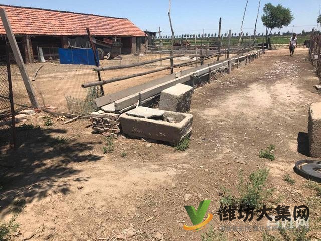 {快租免費尋址}昌邑角埠村好地段土地出租