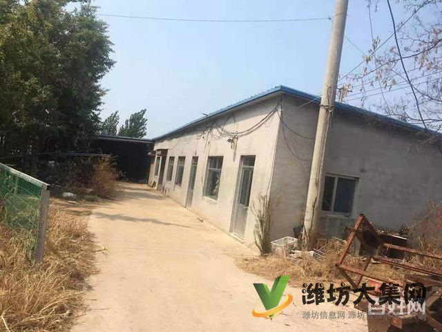 (快租免費尋址)濰城區西外環濰膠路養殖場出租