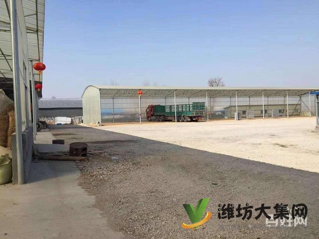 {快租免費(fèi)尋址}壽光壽堯路與308國(guó)道旁廠房出租