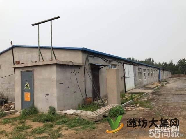 快租免費(fèi)尋址昌邑市柳疃鎮(zhèn)西傅村西廠(chǎng)房出租