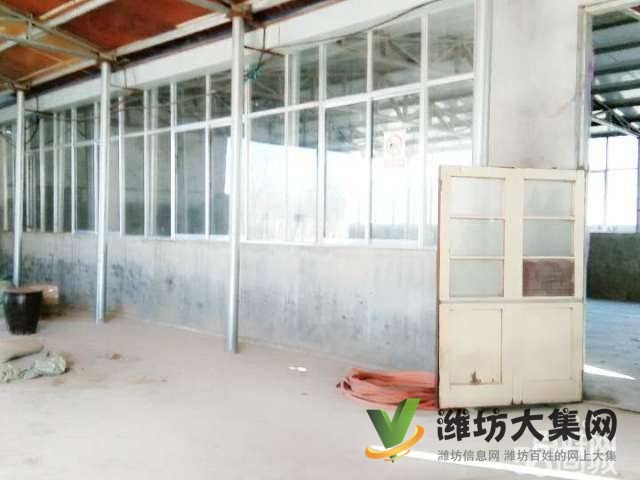 快租免費尋址濰城月河路田爾莊獨門獨院廠房5.5萬出租