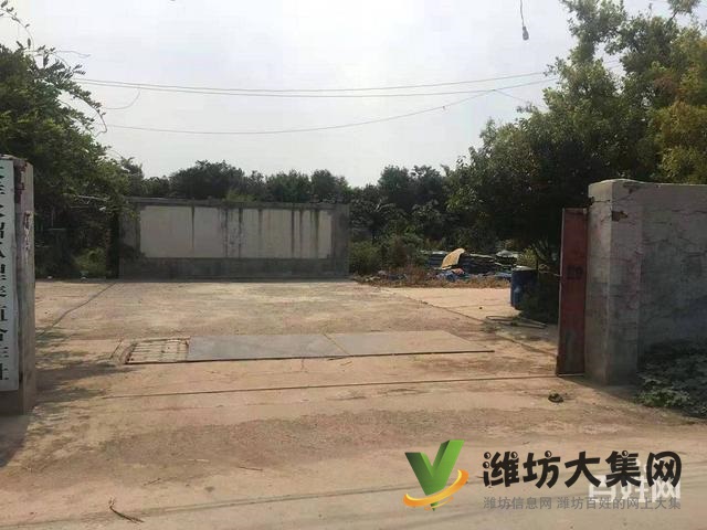 (快租免費尋址)濰城區西外環濰膠路養殖場出租