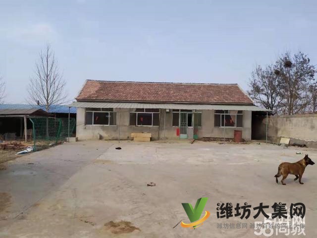 {快租免費(fèi)尋址}濰城軍埠口大寨村好地段倉(cāng)庫(kù)出租