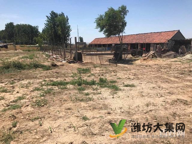 {快租免費尋址}昌邑角埠村好地段土地出租