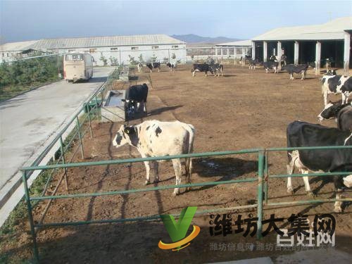 {快租免費尋址}壽光稻田鎮(zhèn)東龐陳村養(yǎng)殖場出租