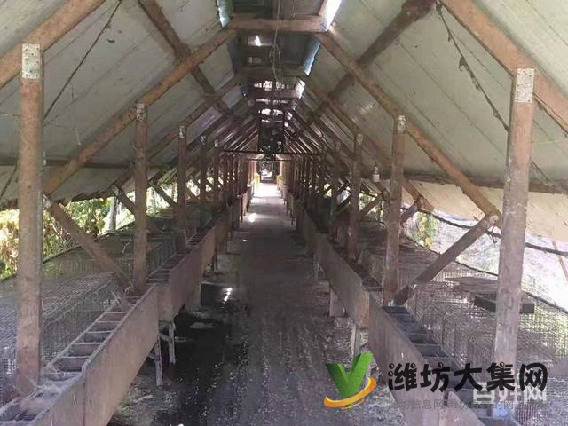 (快租免費尋址)濰城區西外環濰膠路養殖場出租